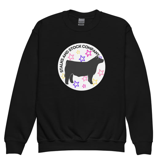 YOUTH CREW- STARS AND STEER
