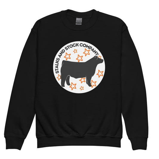 YOUTH CREW- STARS AND STEER
